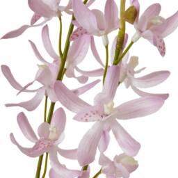 Sostter Lilac Cymbidium Faux Orchid Stem in Green - thumbnail 3