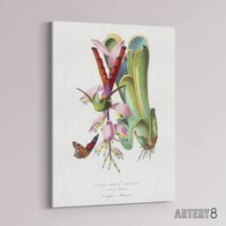 "Artery8 Paul Gervais Hummingbird Butterfly & Flower Canvas Wall Art Print in White - Size: W12"" x H16""" - thumbnail 2