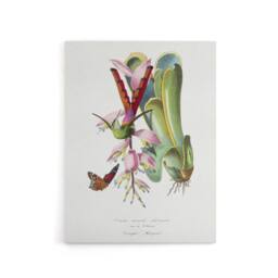 "Artery8 Paul Gervais Hummingbird Butterfly & Flower Canvas Wall Art Print in White - Size: W12"" x H16""" - thumbnail 1