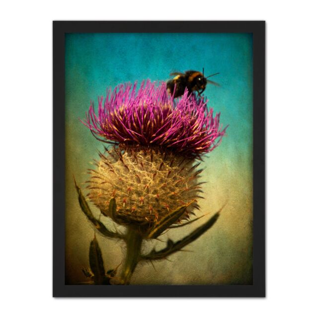 "Artery8 Wall Art Print Bumble Bee & Thistle Large Framed Wall Décor Art in Black - Size: W18"" x H24""" - image 1