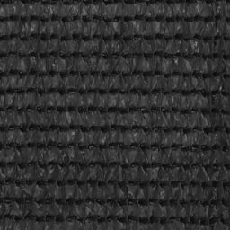 Berkfield Home Balcony Screen Anthracite 120x300 cm HDPE in Black - thumbnail 2