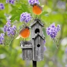 EONLION 1 Pair Resin Robin Birds Outdoor Decor Bird Statues Lifelike Patio - thumbnail 3
