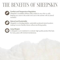 Infinity Leather Natural Sheepskin Real Wool Cushion in Ivory - Size: 40 cm x 40 cm - thumbnail 6