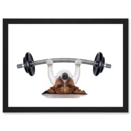 Artery8 Funny Photo Jack Russell Dog Personal Trainer Weight Lifter Artwork Framed Wall Art Print A4 in Black - thumbnail 1