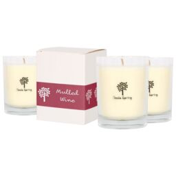 Nicola Spring 3x 160g Soy Wax Scented Candles - Mulled Wine Aromatherapy Jar Candle in Clear - thumbnail 1