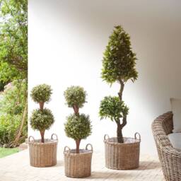 Wyld and Coco Set of 3 Brown PE Rattan Round Plant Baskets Handles and Synthetic - thumbnail 1