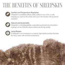 Infinity Leather Natural Sheepskin Real Wool Cushion in Taupe - Size: 40 cm x 40 cm - thumbnail 6