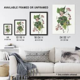 "Artery8 Black & Yellow Warblers Audubon Nature Wall Art Print Poster in White - Size: W12"" x H16""" - thumbnail 3