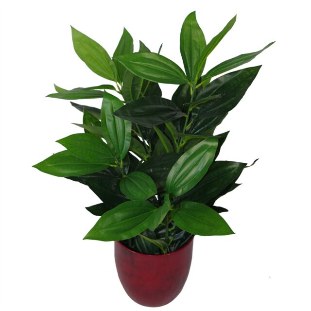 Leaf 70cm Large Bushy Artificial Evergreen House Plant in Green - image 1
