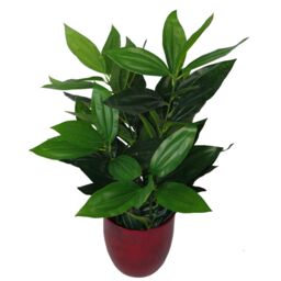 Leaf 70cm Large Bushy Artificial Evergreen House Plant in Green - thumbnail 1