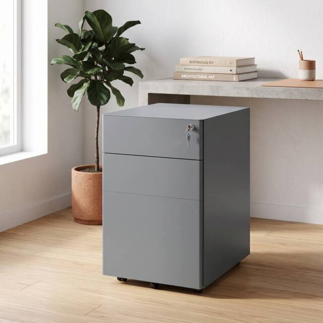 ERGOVEXA Lockable Cabinet, Steel Office Drawer Unit, Grey - image 1