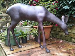 Inspirational Gifting Grazing Doe Deer Garden Sculpture Ornament Extra Large in Bronze - thumbnail 4
