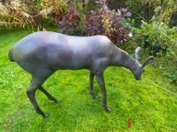 Inspirational Gifting Grazing Doe Deer Garden Sculpture Ornament Extra Large in Bronze - thumbnail 2