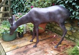 Inspirational Gifting Grazing Doe Deer Garden Sculpture Ornament Extra Large in Bronze - thumbnail 3