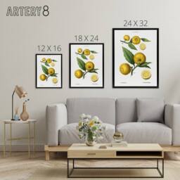 "Artery8 Clusters of Citrus Fruit Redoute Vintage Black Framed Canvas Wall Art in White - Size: W12"" x H16""" - thumbnail 4