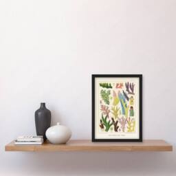 Artery8 Great Barrier Reef Corals Marine Life Kent Framed Wall Art Print in Beige - Size: A4 - thumbnail 4