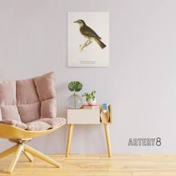"Artery8 Redwing Bird Turdus Iliacus Von Wright Vintage Canvas Wall Art in White - Size: W18"" x H24""" - thumbnail 3