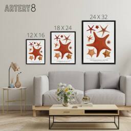 "Artery8 Starfish Varieties Marine Life Albert I Framed Canvas Wall Art Print in White - Size: W12"" x H16""" - thumbnail 4