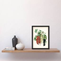 Artery8 John Wright Framed Wall Art Black Naples Victoria White Dutch Currants - Size: A4 - thumbnail 2