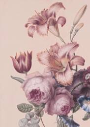 Superfresco Easy Antique Floral Soft Blush Print To Order 3m x 2.8m Mural in Pink - thumbnail 2