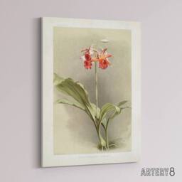"Artery8 F Sander Phaius Hybridus Cooksonii Orchid Flowers Canvas Art Print - Size: W12"" x H16""" - thumbnail 2