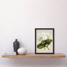 Artery8 Sarah Featon Framed Wall Art Print New Zealand Mountain Lily Flowers in Beige - Size: A4 - thumbnail 2