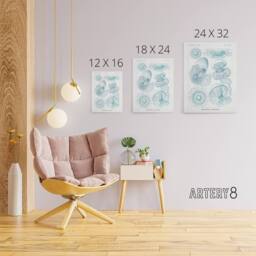 "Artery8 Aequoreidae Jellyfish Marine Life Species Haeckel Canvas Art Print in White - Size: W12"" x H16""" - thumbnail 4