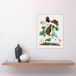 "Artery8 House Wren Butterflies Beetle & Spider Bolton Wall Art Poster Print - Size: W12"" x H16""" - thumbnail 4