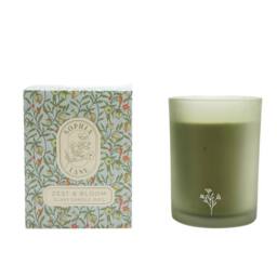 Sophia Lane Zest & Bloom Floral Candle - 250g in Green - thumbnail 2