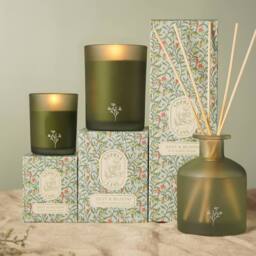 Sophia Lane Zest & Bloom Floral Candle - 250g in Green - thumbnail 6