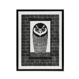 "Artery8 Ringuil Owl Bird on a Window De Mesquita Framed Canvas Wall Art Print in White - Size: W12"" x H16""" - thumbnail 1