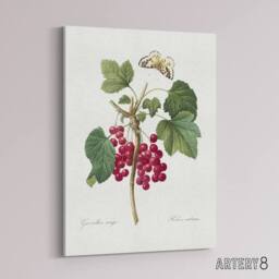 "Artery8 Redcurrant Berries & Butterfly Redoute Vintage Canvas Wall Art in White - Size: W24"" x H32""" - thumbnail 2