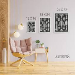 "Artery8 Basidiomycetes Fungi Species Vintage Haeckel Canvas Wall Art in Black - Size: W18"" x H24""" - thumbnail 4