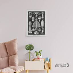 "Artery8 Basidiomycetes Fungi Species Vintage Haeckel Canvas Wall Art in Black - Size: W18"" x H24""" - thumbnail 3