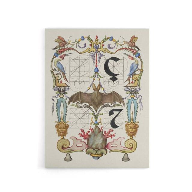 "Artery8 Pictoral Letter Guide with Bat Calligraphy Canvas Wall Art Print in White - Size: W12"" x H16""" - image 1