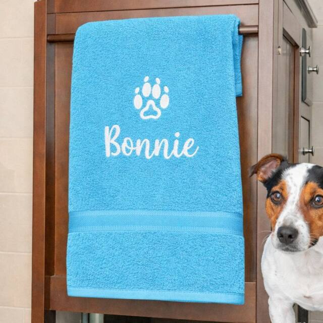 Duncan Stewart Personalised Dog Towel in Turquoise - image 1