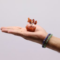 KDMD Mini Gemstone Tree On Orgonite Base - Carnelian (15 stones) in Orange - thumbnail 2