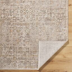 Livabliss Galey Alix Myrtle Avenue I Vintage Beige Grey Brown Traditional Boho Fringe Living Rug - Size: 140 cm x 200 cm - thumbnail 4