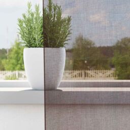 Berkfield Home Voile Curtains with Tab Top 2 pcs Brown - thumbnail 3