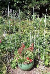 Inspirational Gifting Pair of Verdigris Bird & Leaf Trellis in Green