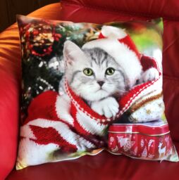 Luxury Living Christmas Cat Decorative Cushion With Pad 45cm x 45cm in Red - Size: 45 cm x 45 cm