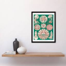 Artery8 Haeckel Framed Wall Art Green Pink Vintage Jellyfish Illustration - Size: A4 - thumbnail 2