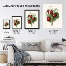 "Artery8 Vintage Fruit Illustration of Strawberries Wright Wall Art Print in White - Size: W18"" x H24""" - thumbnail 3