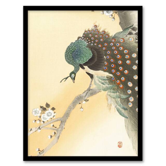 Artery8 Peacock On A Cherry Blossom Tree Retro Japan Framed Wall Art Print Koson in Orange - Size: A4 - image 1