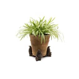 Jardinopia Emperor Penguin Plant Pot Feet - Set of 3 - L9.3 x W6 x H11.2 cm in Bronze - thumbnail 5