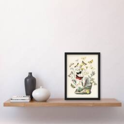 "Artery8 Small Butterflies Caterpillars Kirby Vintage Framed Wall Art Print in White - Size: W12"" x H16""" - thumbnail 4