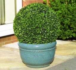 Primrose Artificial Topiary Boxwood Ball With Chain 28cm in Green - thumbnail 3