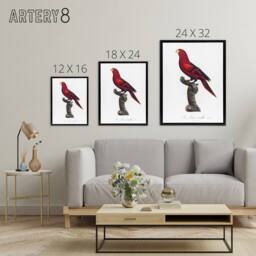"Artery8 The Violet Necked Lory Parrot Levaillant Framed Canvas Wall Art Print in White - Size: W24"" x H32""" - thumbnail 4