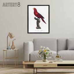 "Artery8 The Violet Necked Lory Parrot Levaillant Framed Canvas Wall Art Print in White - Size: W24"" x H32""" - thumbnail 3