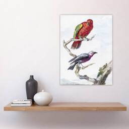 "Artery8 Red Green Parrot & Bird Watercolour Schouman Wall Art Print in White - Size: W12"" x H16""" - thumbnail 4
